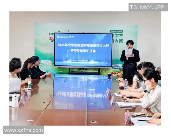 打造比赛日主场氛围的专业化运作策略与实践探索