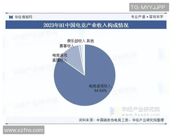 赛事产业带动效应对地方经济发展的深远影响与未来展望