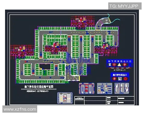 优化体育场馆停车安排提升观赛体验与交通效率的综合方案